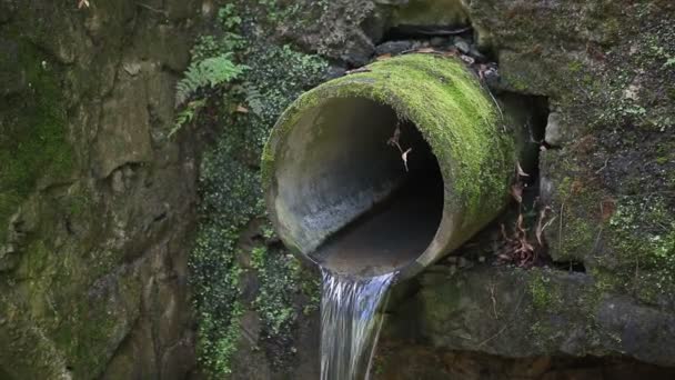 Ein Altes Kanalrohr Durch Das Das Regenwasser Fließt Ein Großes — Stockvideo