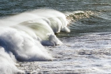 Pembe bikinili güzel kadın beach Malibu California sahiptir