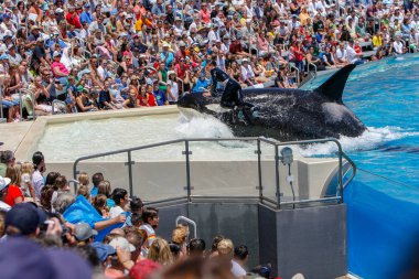 San Diego, Ca/ABD. Haziran 25, 2007. Katil balinalar deniz dünyada göster. Sea World bir hayvan Tema Parkı, oceanarium ve deniz memelileri parkı olduğunu.
