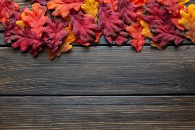 Sonbahar Şükran arka plan ve yaprakları ve küçük kabak çerçevesinin etrafında çerçeve