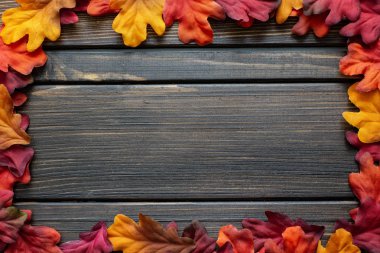 Sonbahar Şükran arka plan ve yaprakları ve küçük kabak çerçevesinin etrafında çerçeve