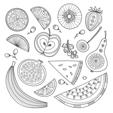 Vektör çizim besin açısından zengin meyve kabile, zen doodle boho tarzı. Yazdırılan ve olarak kullanılan ham, vegan ve vejetaryen tasarım öğesi, boyama sayfası, şablon, kart, tekstil, kumaş, vb olabilir.