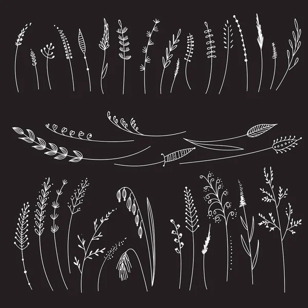 Vector Set Cereals Grass Flowers Can Used Design Element Decoration Vector Graphics