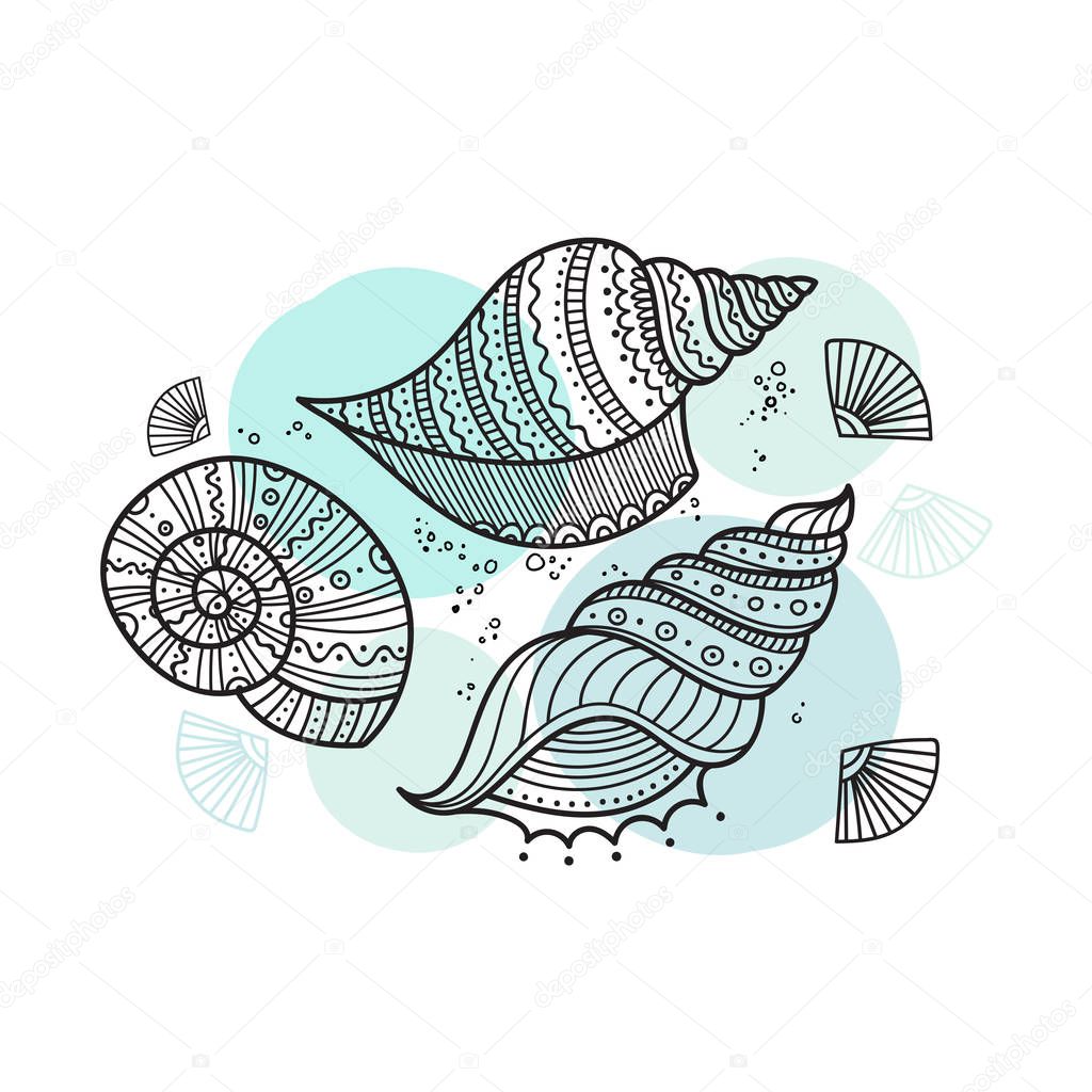 Vector set of shells in ethnic tribal boho style with ornament. Can be printed and used as coloring page, design element, template, etc.