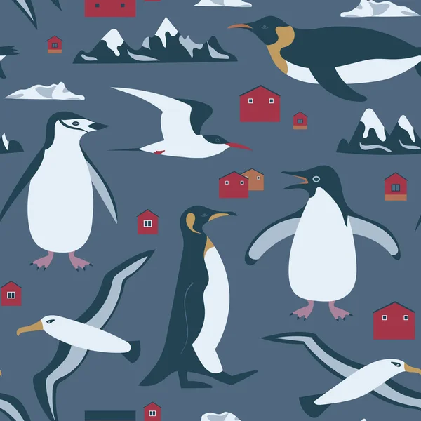 Modèle Sans Couture Antarctique Avec Pingouin Albatros Sternes Montagnes Peut — Image vectorielle