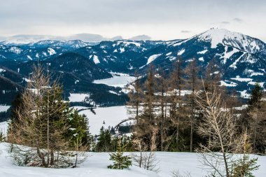Karla kaplı dağlar Avusturya kayak için