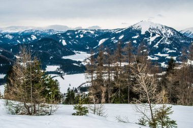 Karla kaplı dağlar Avusturya kayak için