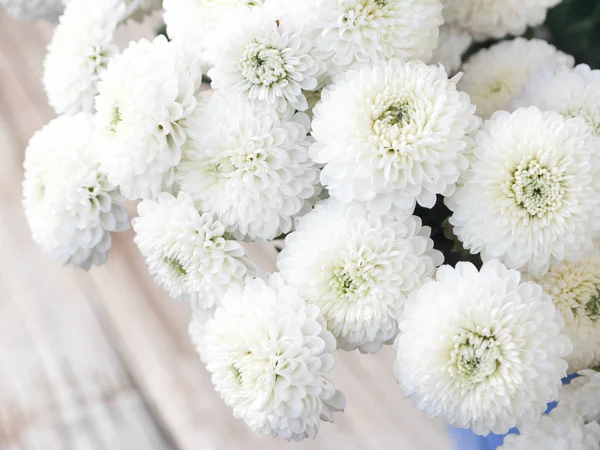 Bílá Chryzantéma Kytice Čerstvých Květin Kopci Chiang Mai Thajsku — Stock fotografie