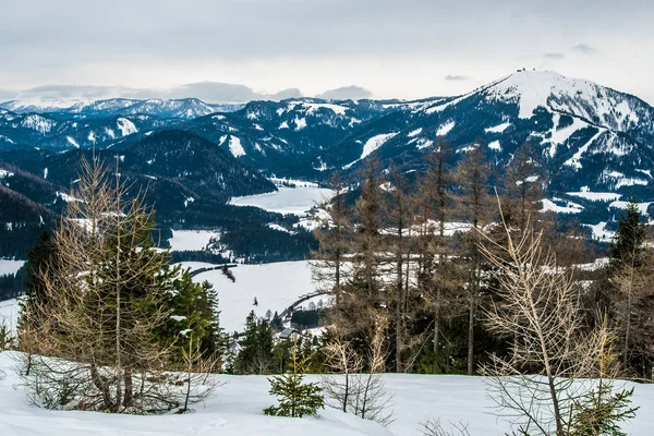 Karla kaplı dağlar Avusturya kayak için
