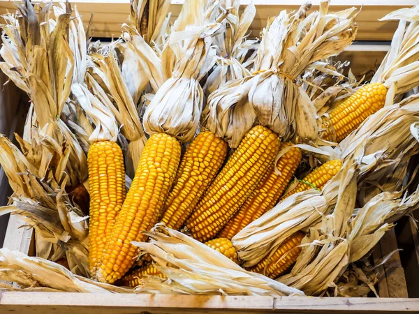 Bir avuç kurutulmuş Mısır birlikte ahşap sandık.