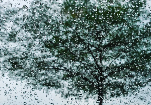 Gocce Pioggia Sullo Specchio Esterno Con Grandi Alberi Verdi — Foto Stock