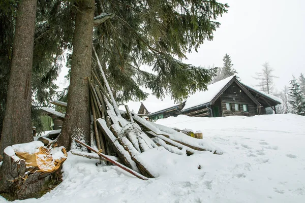 Těžký Sníh Borovém Lese Kmeny Stromů Před Chatou Vysoké Hory — Stock fotografie