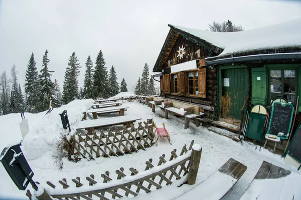Starker Schnee Kiefernwald Baumstämme Vor Der Hütte Hochgebirge Österreich — Stockfoto