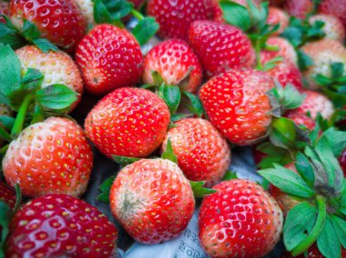 Yüksek dağlarda Tayland sepet içinde kırmızı çilek yığınları.