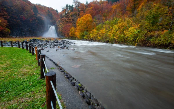 树叶颜色的变化美丽的瀑布在山形县的落叶日本 — 图库照片