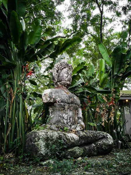 Eski Buda heykeli zarar o ağacın set. Bir retro görüntü, siyah ve beyaz retro.