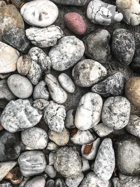 Textura Piedra Bolas Redondas Suelo —  Fotos de Stock