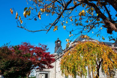 Eski Saat Kulesi eski binanın çatısında red vardır yaprakları, turuncu ve mavi gökyüzü. Sonbahar Yamagata, Japonya