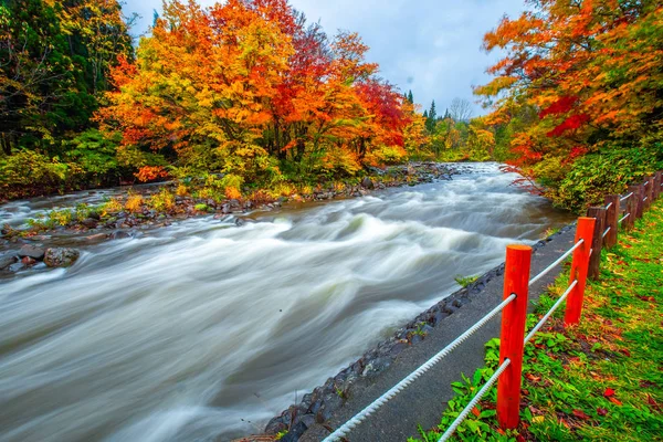 Cascada Entre Muchos Follaje Las Hojas Otoño Cambio Color Hoja —  Fotos de Stock