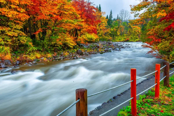 Cascada Entre Muchos Follaje Las Hojas Otoño Cambio Color Hoja —  Fotos de Stock