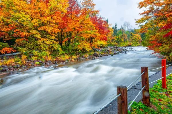 Hojas Cambio Color Hermosa Cascada Otoño Hojas Yamagata Japón —  Fotos de Stock