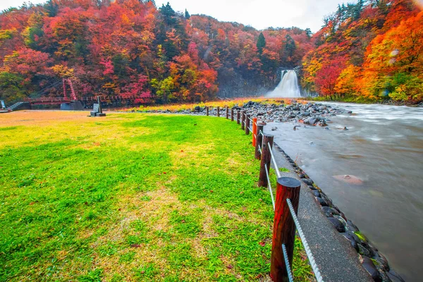 Cascada Entre Muchos Follaje Las Hojas Otoño Cambio Color Hoja —  Fotos de Stock