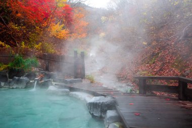 Japon Hot Springs Onsen doğal banyo çevrili kırmızı-sarı yaprakları. Sonbahar yaprakları sonbaharda Yamagata içinde. Japonya.