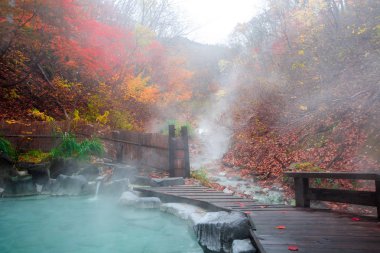 Japon Hot Springs Onsen doğal banyo çevrili kırmızı-sarı yaprakları. Sonbahar yaprakları sonbaharda Yamagata içinde. Japonya.