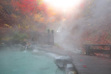 Japon Hot Springs Onsen doğal banyo çevrili kırmızı-sarı yaprakları. Sonbahar yaprakları sonbaharda Yamagata içinde. Japonya.