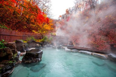 Japanese Hot Springs Onsen Natural Bath Surrounded by red-yellow leaves. In fall leaves fall in Yamagata. Japan. clipart