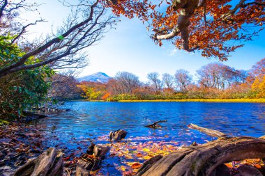 Depo dolu mountain yakınındaki değişiklik rengi değiştirmez. Mavi gökyüzü ve beyaz bulutlar Yamagata içinde Japonya ile sonbaharda yaprakları