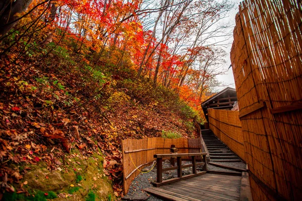 Deja Cambio Color Hojas Otoño Akita Japón Enfoque Suave —  Fotos de Stock