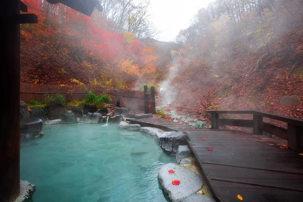 Japon Hot Springs Onsen doğal banyo çevrili kırmızı-sarı yaprakları. Sonbahar yaprakları sonbaharda Yamagata içinde. Japonya.