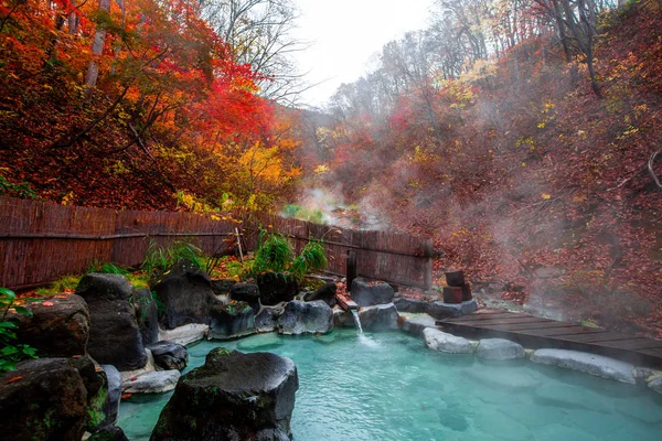 Japon Hot Springs Onsen doğal banyo çevrili kırmızı-sarı yaprakları. Sonbahar yaprakları sonbaharda Yamagata içinde. Japonya.