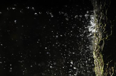 siyah bir arka plan üzerinde izole ağaca su Sıçraması