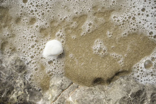 Морская Волна Пузырьками Песчаном Пляже Seashell Nautification Sea Beach — стоковое фото