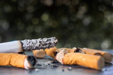 Sigaralar yakıldı ve sigara lar pompalandı. Dünya Tütüne Hayır Günü her yıl 31 Mayıs'a denk geliyor. Duman sigaraları parçalandı,