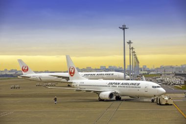 Tokyo, Japonya - 26 Kasım 2018. Japonya Havayolları veya Jal uçağı Haneda International'da Sabah güneşi Sarı gökyüzüne Airport.In. Yer personeli. Yolcu terminali. Havaalanı Işık Pole.Jet motoru.
