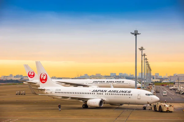 Tokyo, Japonya - 26 Kasım 2018. Japonya Havayolları veya Jal uçağı Haneda International'da Sabah güneşi Sarı gökyüzüne Airport.In. Yer personeli. Yolcu terminali. Havaalanı Işık Pole.Jet motoru.