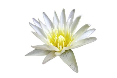 Bulutlu bir günde gökyüzünde parlayan karanlık gecede dolunay.