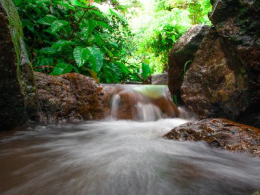 küçük nehir yeşil orman kayalar üzerinden akar. Büyük tre
