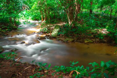 küçük nehir yeşil orman kayalar üzerinden akar. Büyük tre