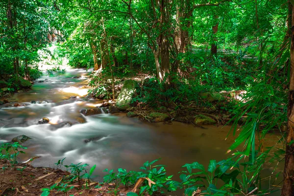 Pequeño río fluye a través de las rocas en el bosque verde. Gran tre — Foto de Stock