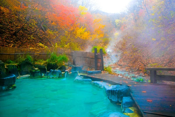 Japon kaplıcaları Onsen doğal banyosu kırmızı sarı yaprakları ile çevrilidir. Güz yaprakları içinde Japonya. Waterfall birçok yeşillik arasında sonbahar, sonbahar yaprakları yaprak renk değişikliği.