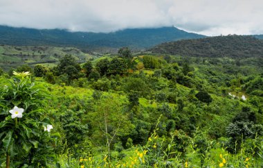Dağların güzel manzara, Güneş ışığı ve sis kazanmak