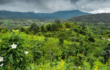Dağların güzel manzara, Güneş ışığı ve sis kazanmak