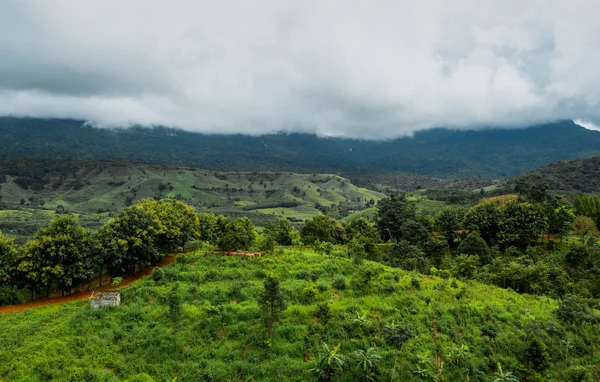 Hermoso paisaje de las montañas, luz del sol y niebla en la victoria — Foto de Stock