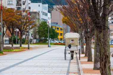 Bulutlu bir günde gökyüzünde parlayan karanlık gecede dolunay.