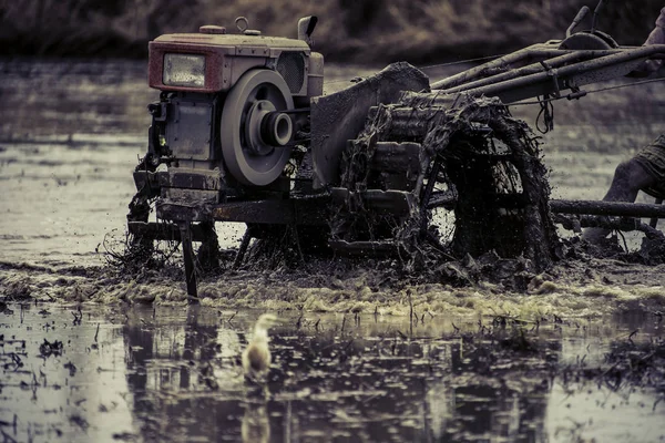 Maszyna pługi, rolnicy, którzy używają ciągników w polach ryżowych do sporządzaniu sprawozdania kierownictwo — Zdjęcie stockowe