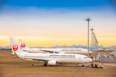 Tokyo, Japonya - 26 Kasım 2018. Japan Airlines veya Jal uçağı 